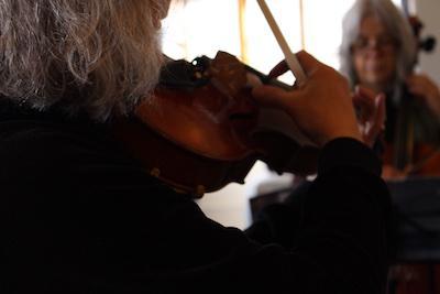 Adult violinist performing with fellow chamber musician